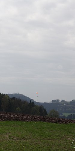 2013 Svojek Mirek Topinka